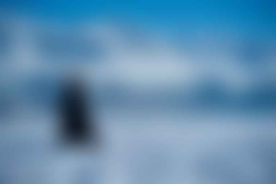 Serene snow-covered field under a clear sky